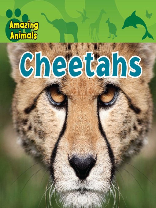 Title details for Cheetahs by Sarah Albee - Available
